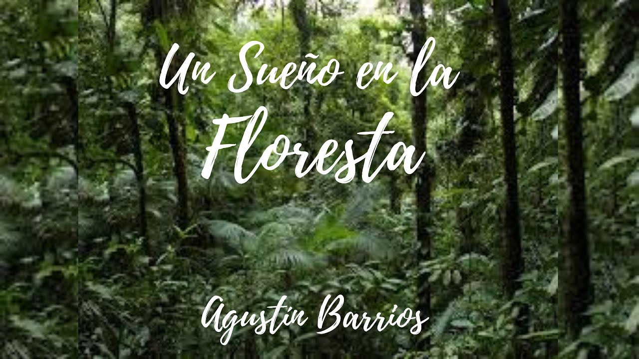 숲속의 꿈(Un Sueño en la Floresta)